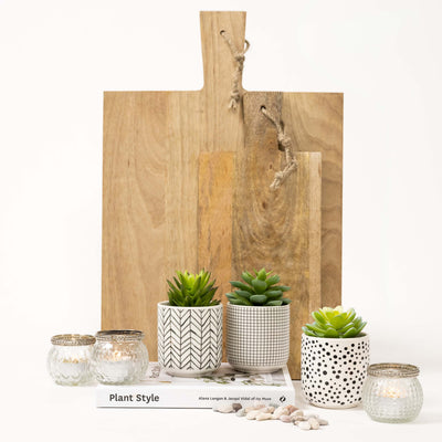 Set of 3 artificial succulents in black and white pots 4.5