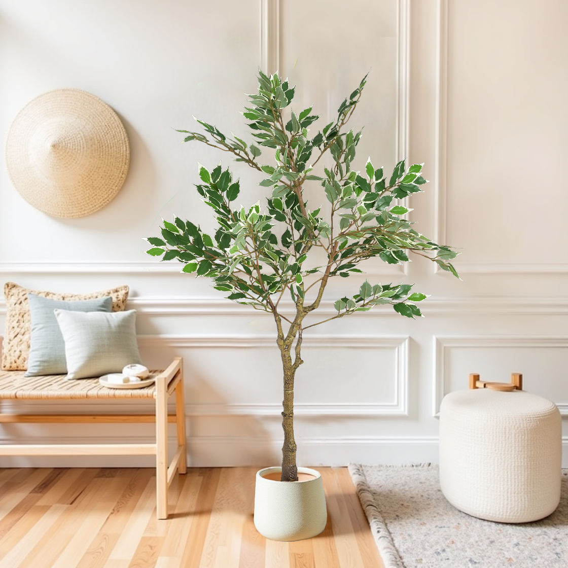 Potted plant in a living room with wooden bench and decorative items.