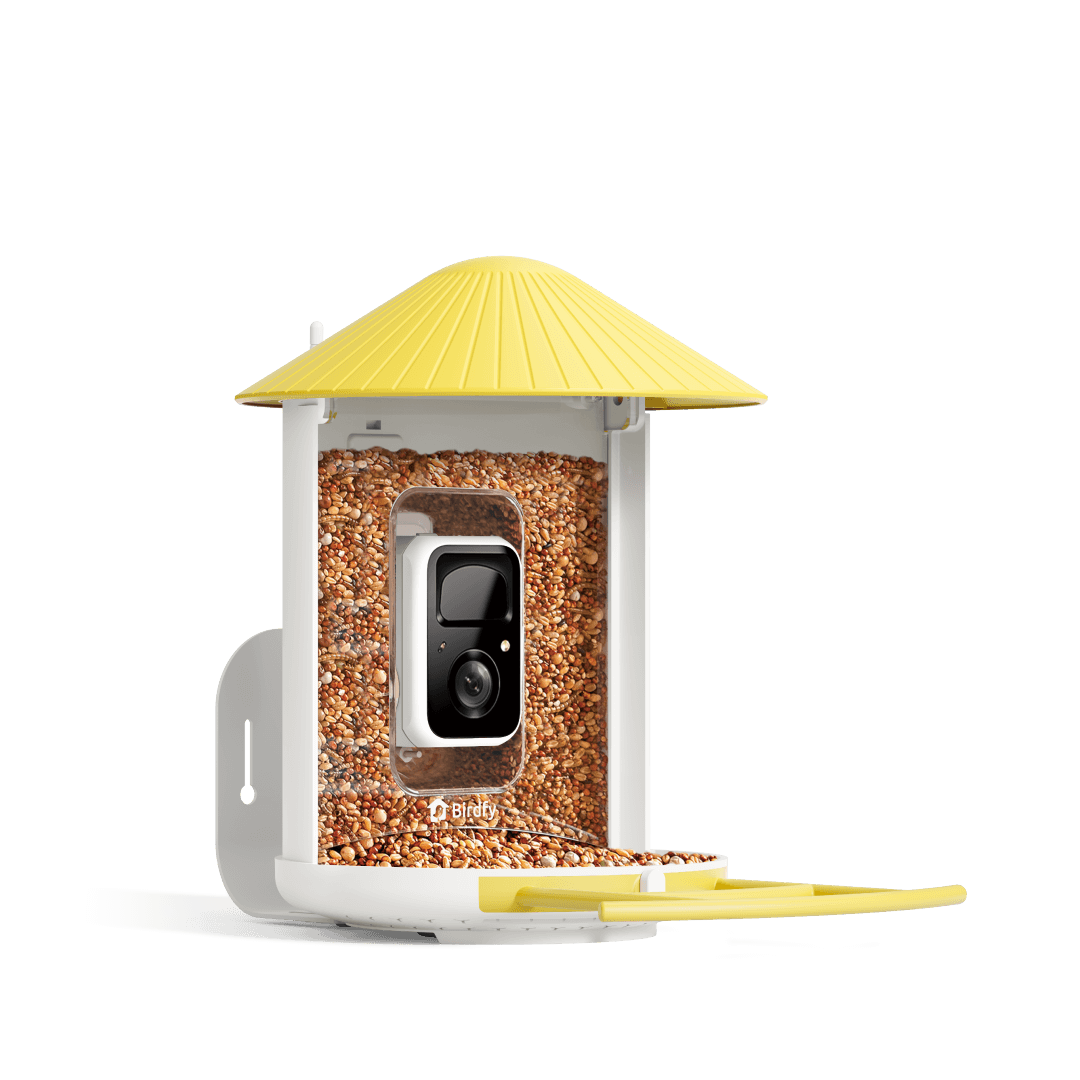 Birdfy Feeder - AI-Powered Smart Bird Feeder with Camera