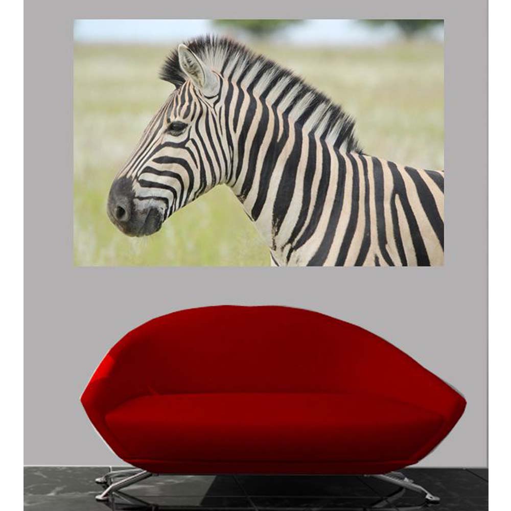 Boer Zebra Profile Wall Decal (5 Sizes Available)