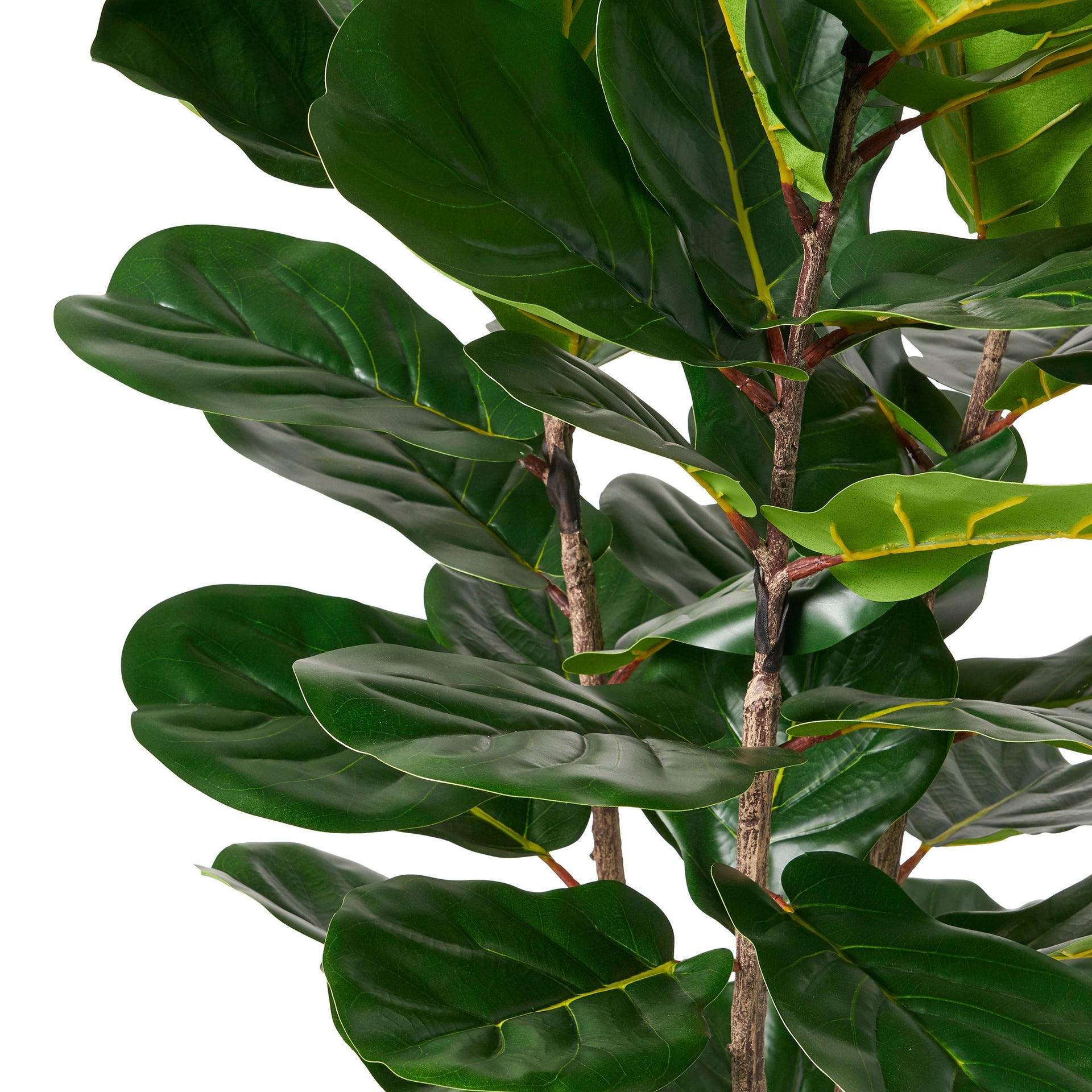 180CM ARTIFICIAL FIDDLE LEAF FIG TREE 72 leaves