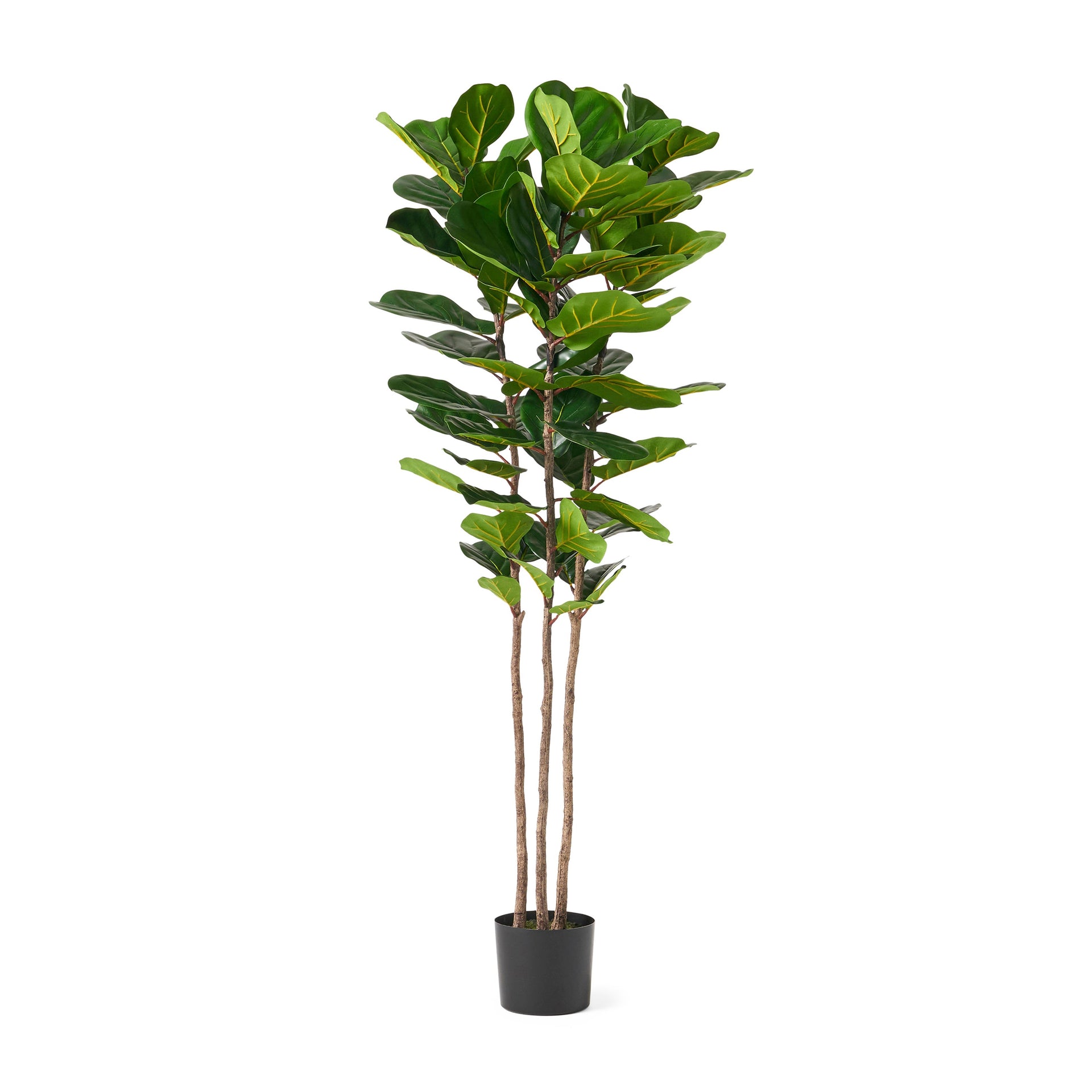 180CM ARTIFICIAL FIDDLE LEAF FIG TREE 72 leaves