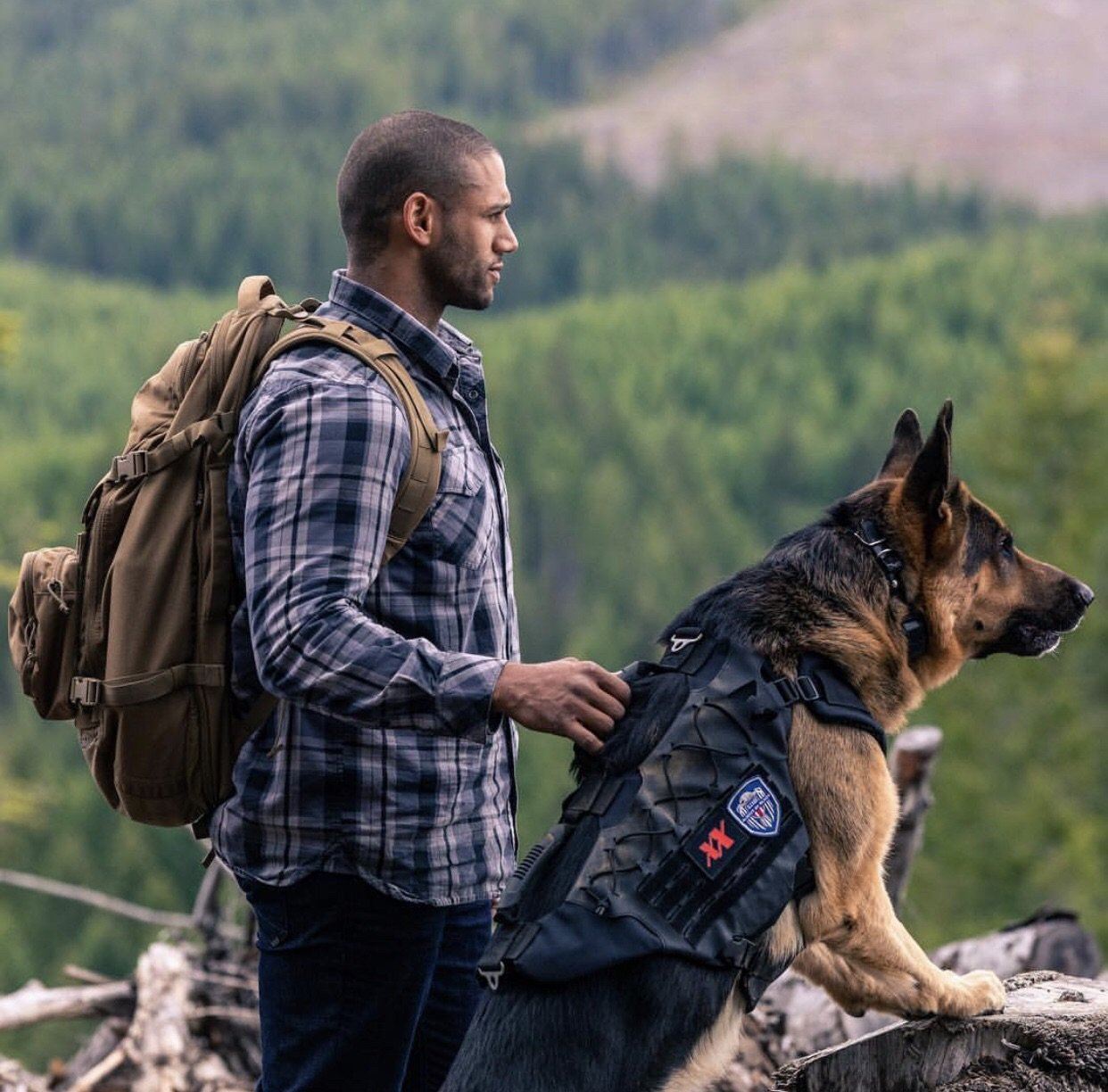 Titan K-9 Vest 1.0 (Harness only)