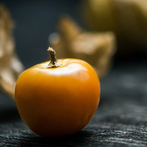 Dewy Schnozberry White Marble Candle 17oz