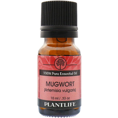 Mugwort Essential Oil