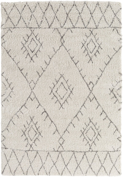 Surya Wilder 5ft 3 x 7ft 7 Area Rug WDR2003-5477
