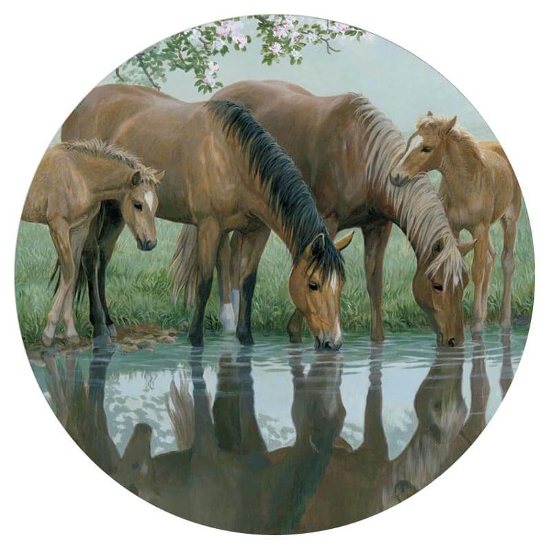Watering Hole Lazy Susan