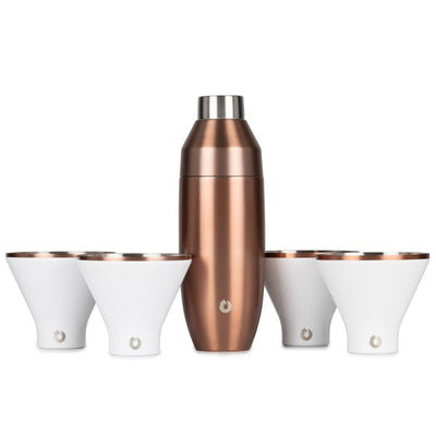 Stainless Steel Cocktail Shaker and Martini Glass Set, Gold and White
