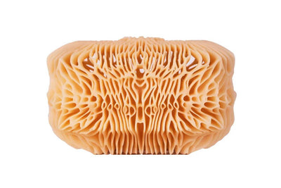 HY • MINI | SCHLOSSBEIGE