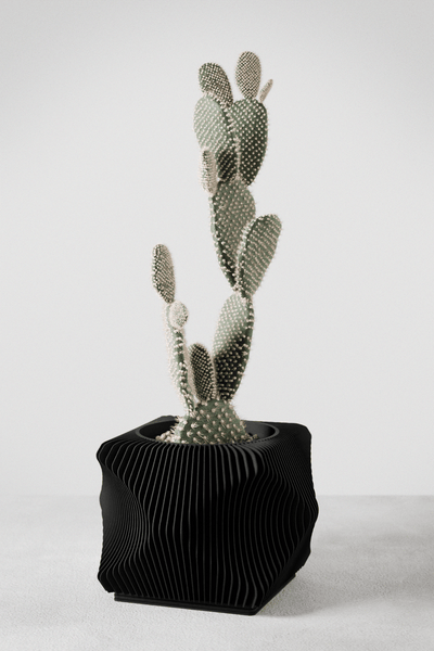 Xenova Planter