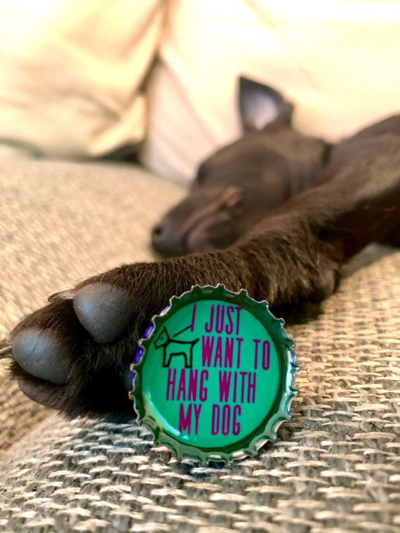 Dog Lover Magnets - Set of 6