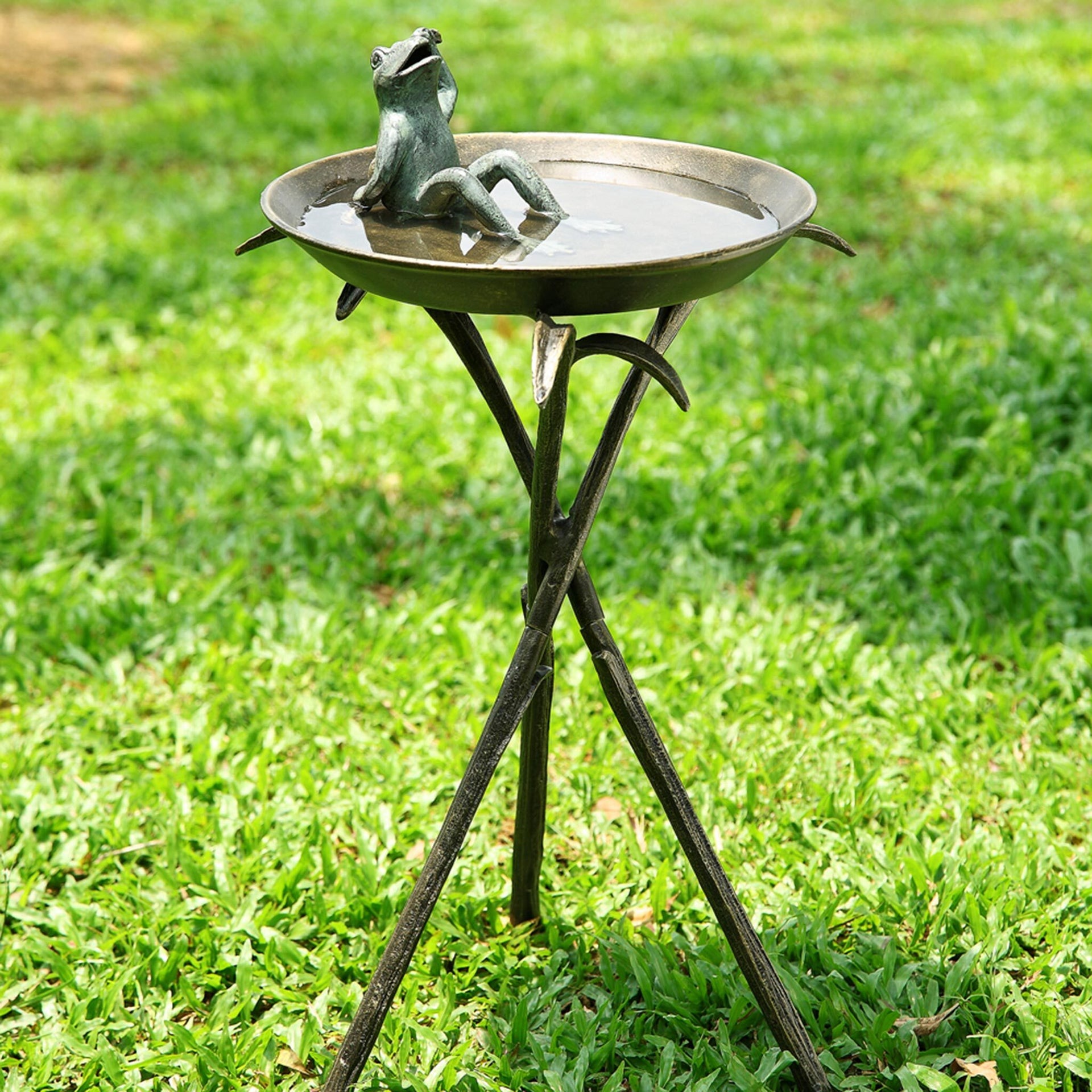 Cool Frog Birdbath