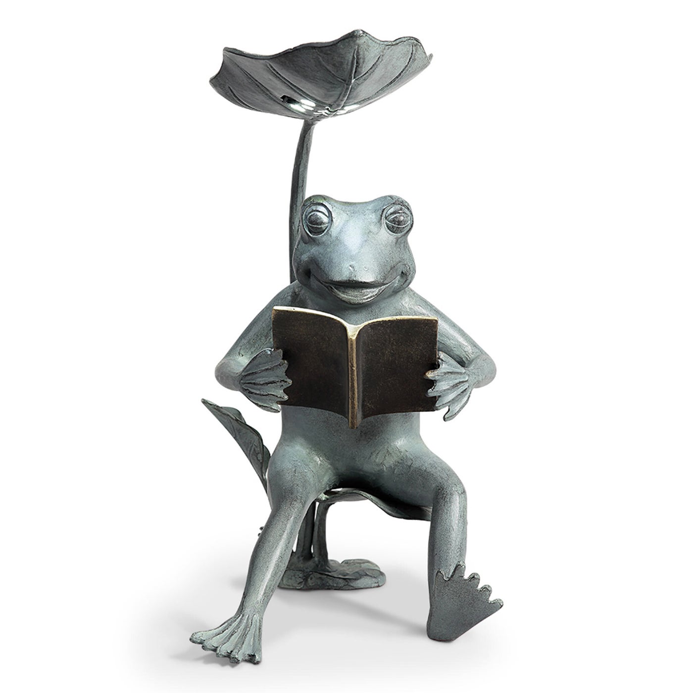 Reading Frog Birdfeeder with LED Light