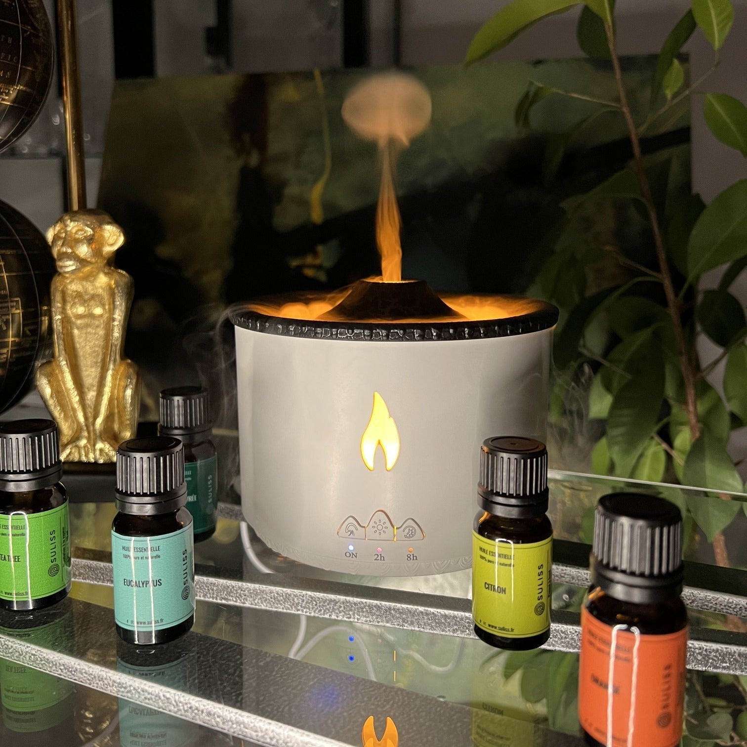Volcano Diffuser (Private Listing)