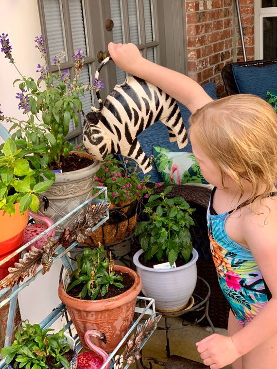 Coco The Cat Plant Pals Water Can