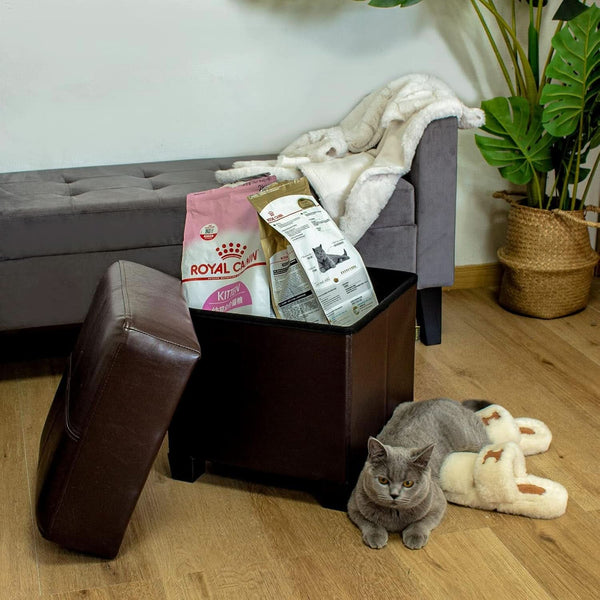 Brown PU Leather Storage Ottoman Featuring CushionedTop