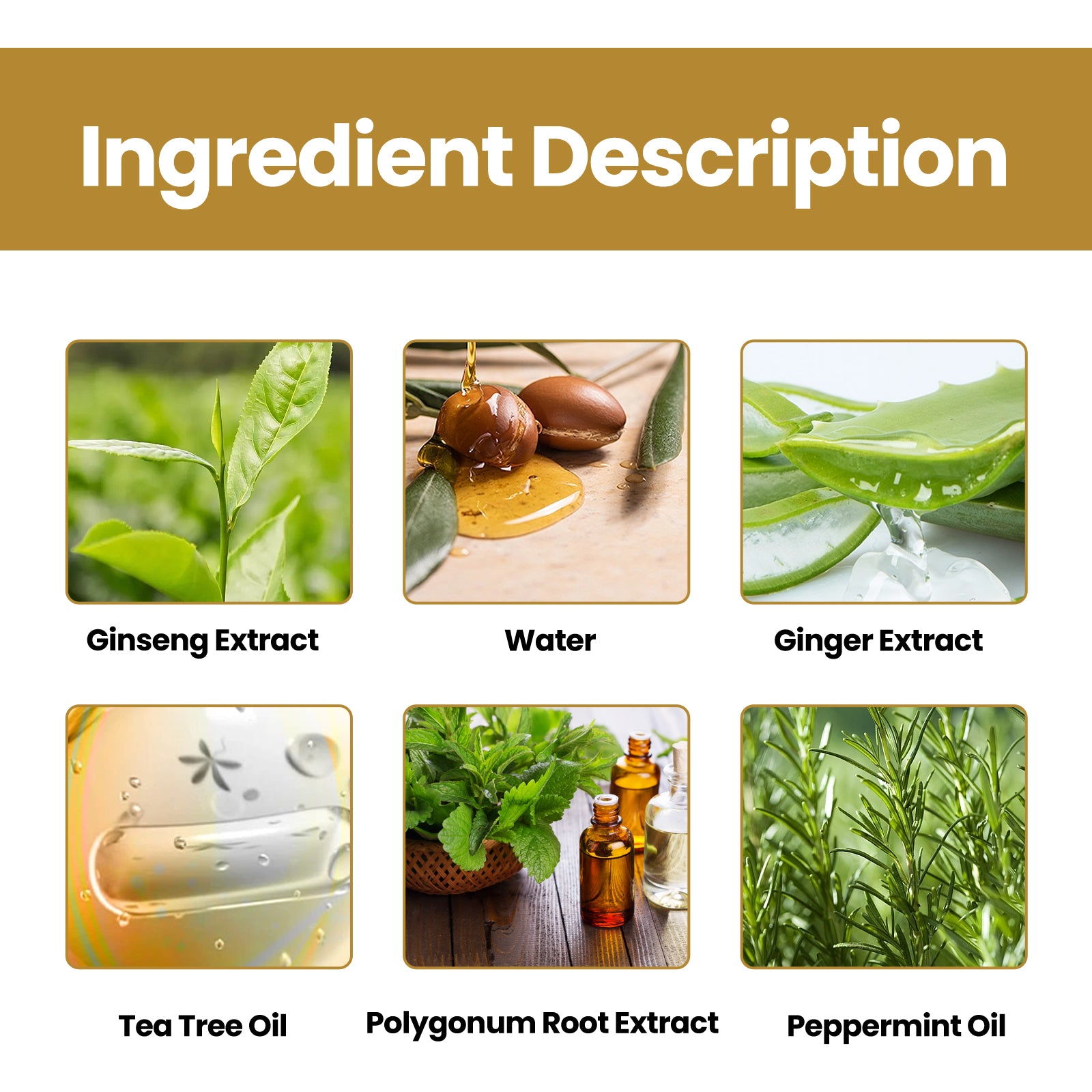 Tight Hair Shampoo Hair Cleansing Massage Scalp To Prevent Loose Tight Hair Roots Strong And Solid Hair Shampoo