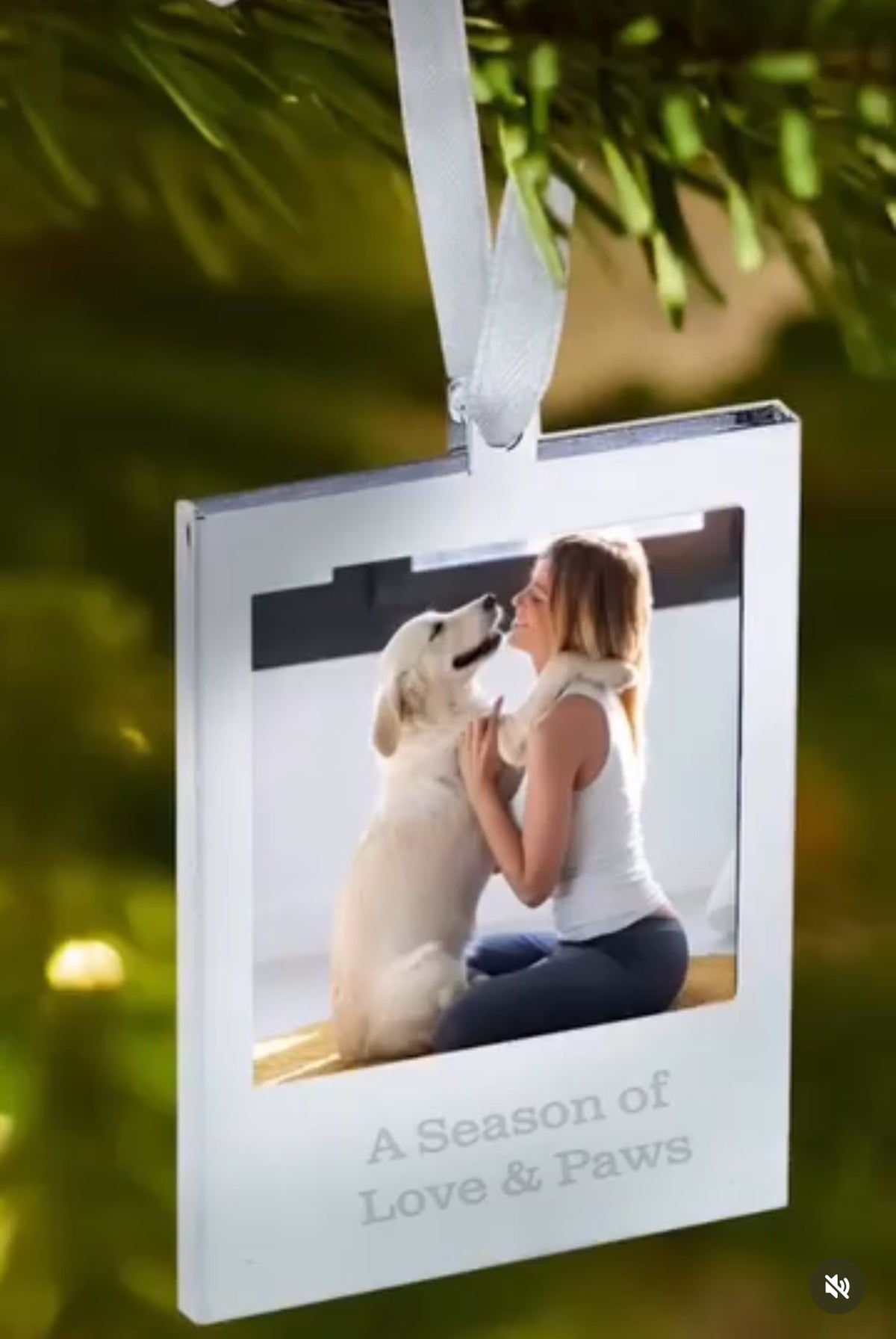 Hanging Photo Frame Ornament- 2