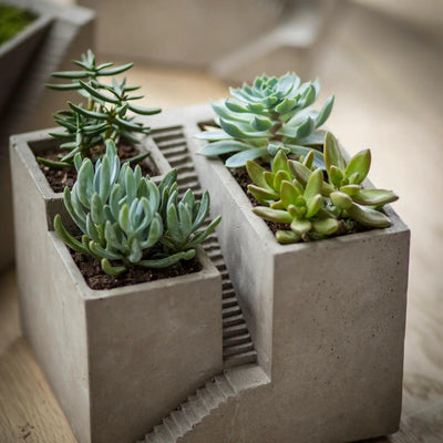 Cement Architectural Cube