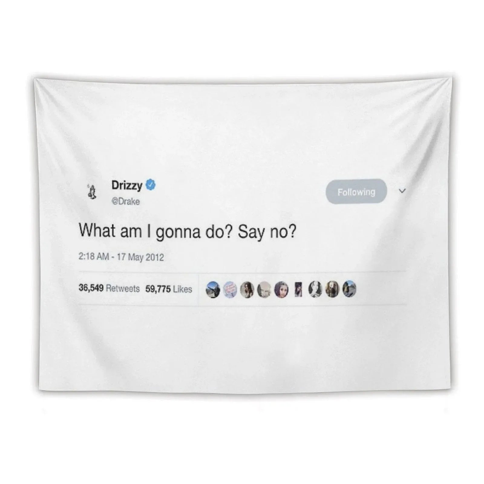 Drake - What Am I Gonna Do Say No Tweet Tapestry