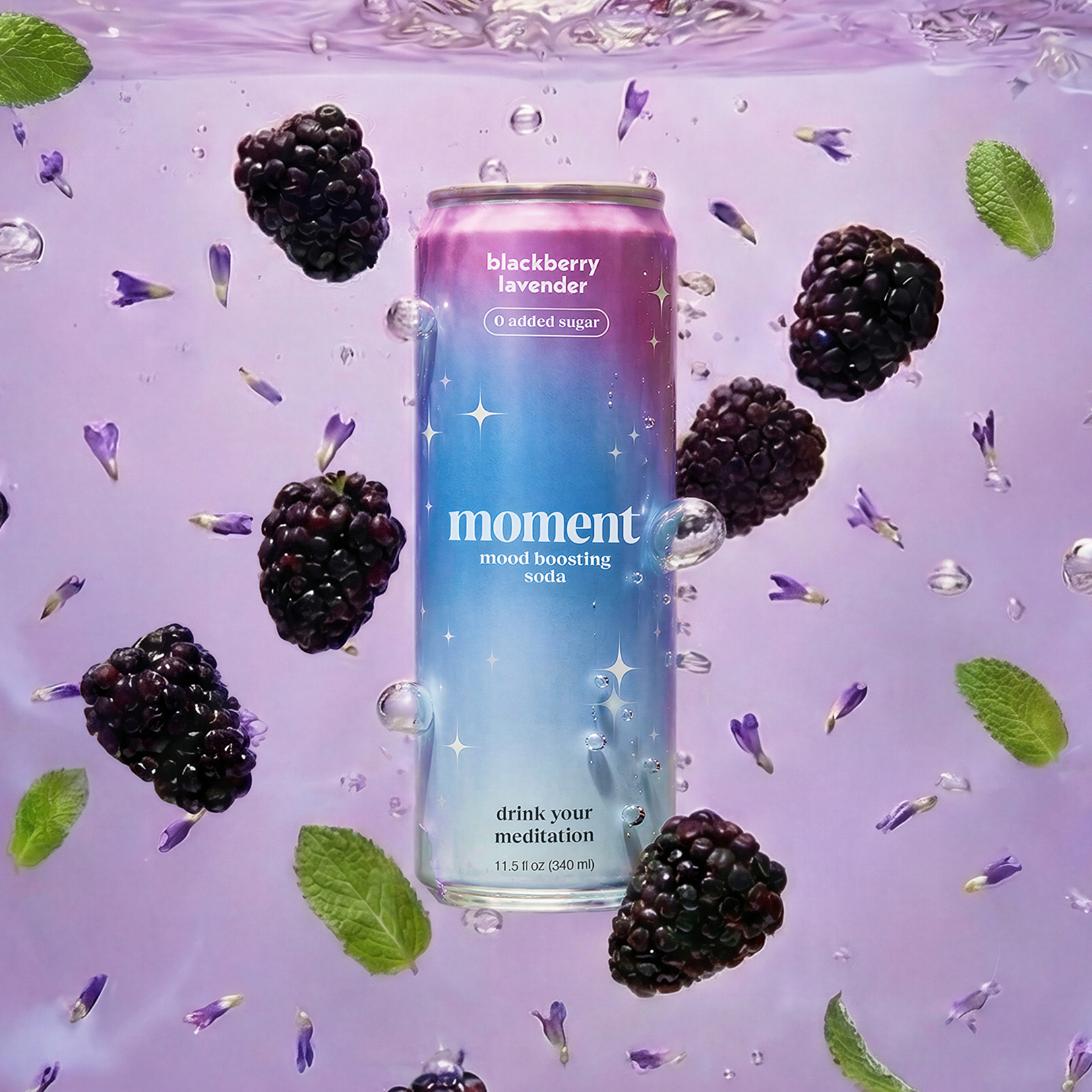 blackberry lavender (botanical soda | 24 pack)