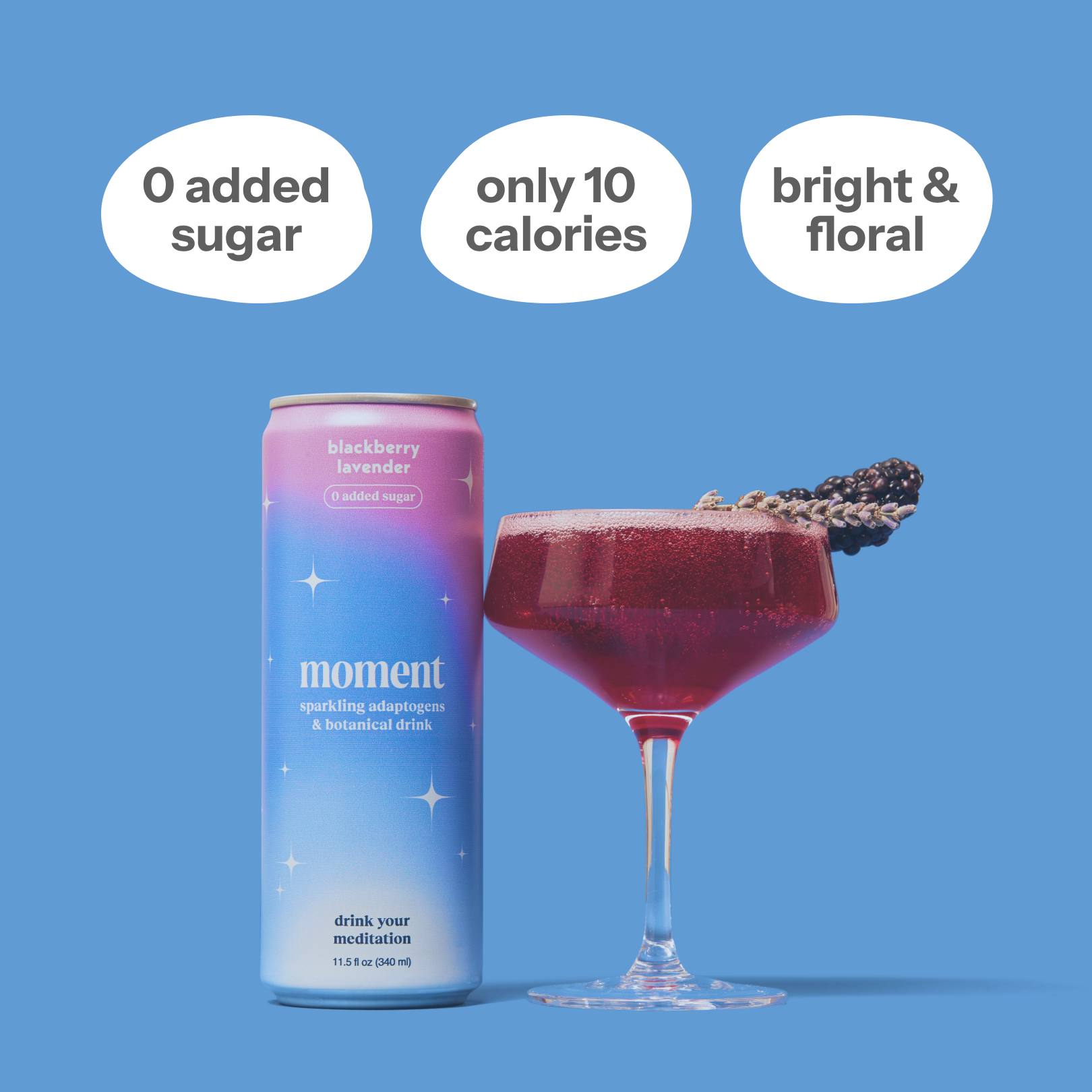 blackberry lavender (botanical soda | 24 pack)