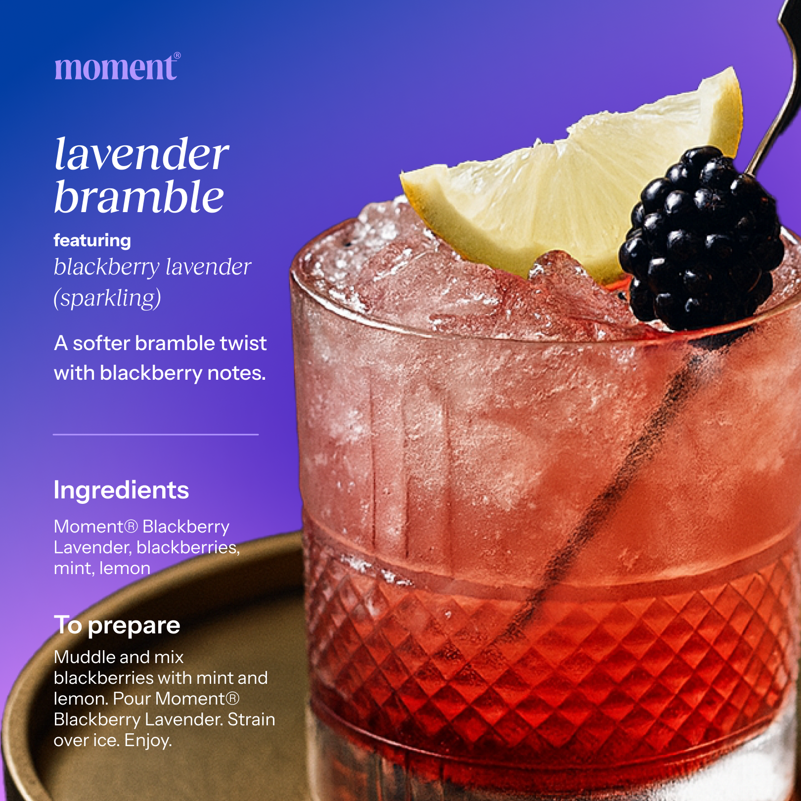 blackberry lavender (botanical soda | 24 pack)
