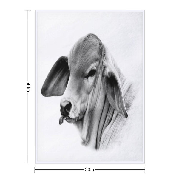 BRAHMAN CALF PORTRAIT, WALL ART AND DESIGNS Compact Throw Blanket