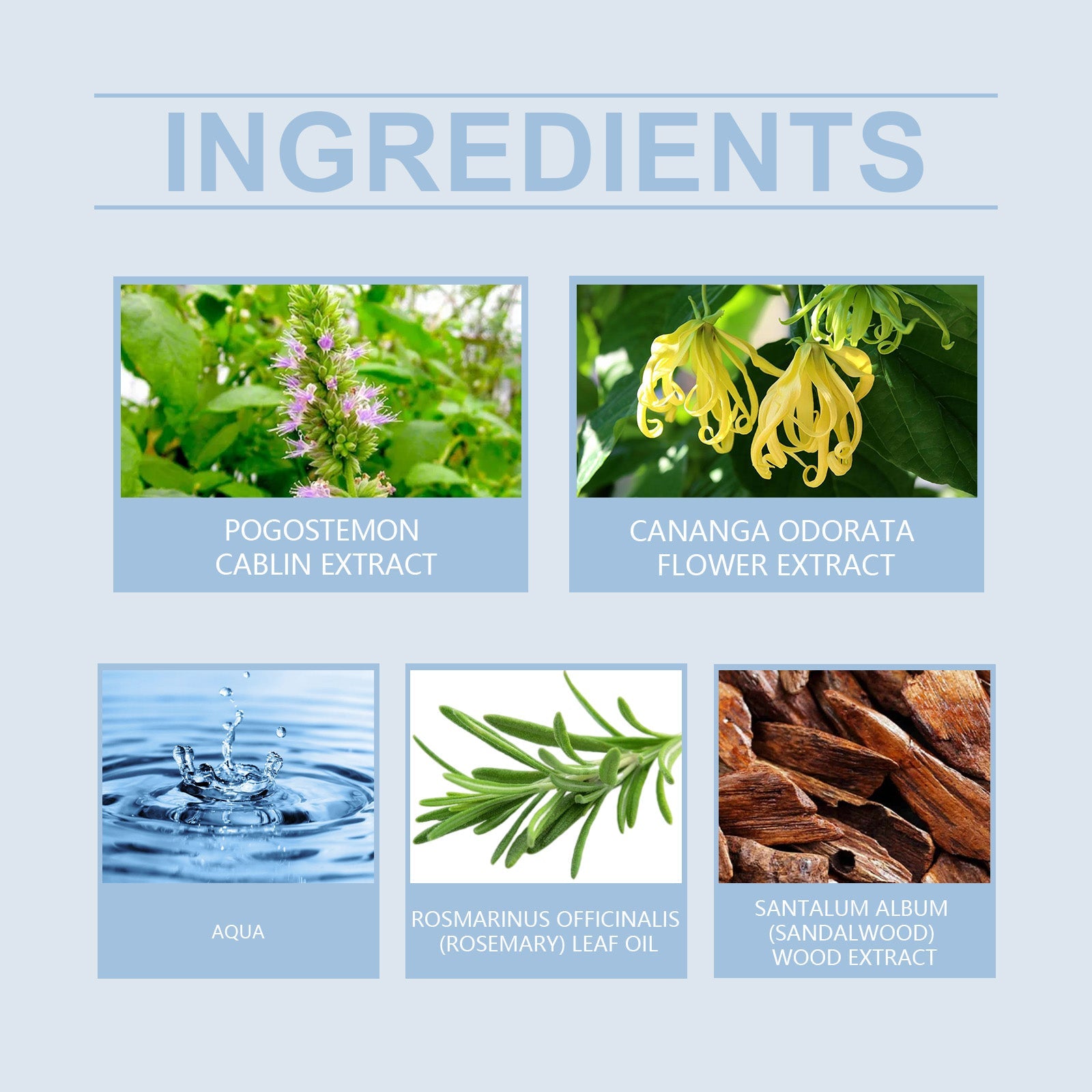 Men's Charm Perfume, Natural Fresh Lasting Fragrance Release Men's Charm Temperament Dating Atmosphere Perfume