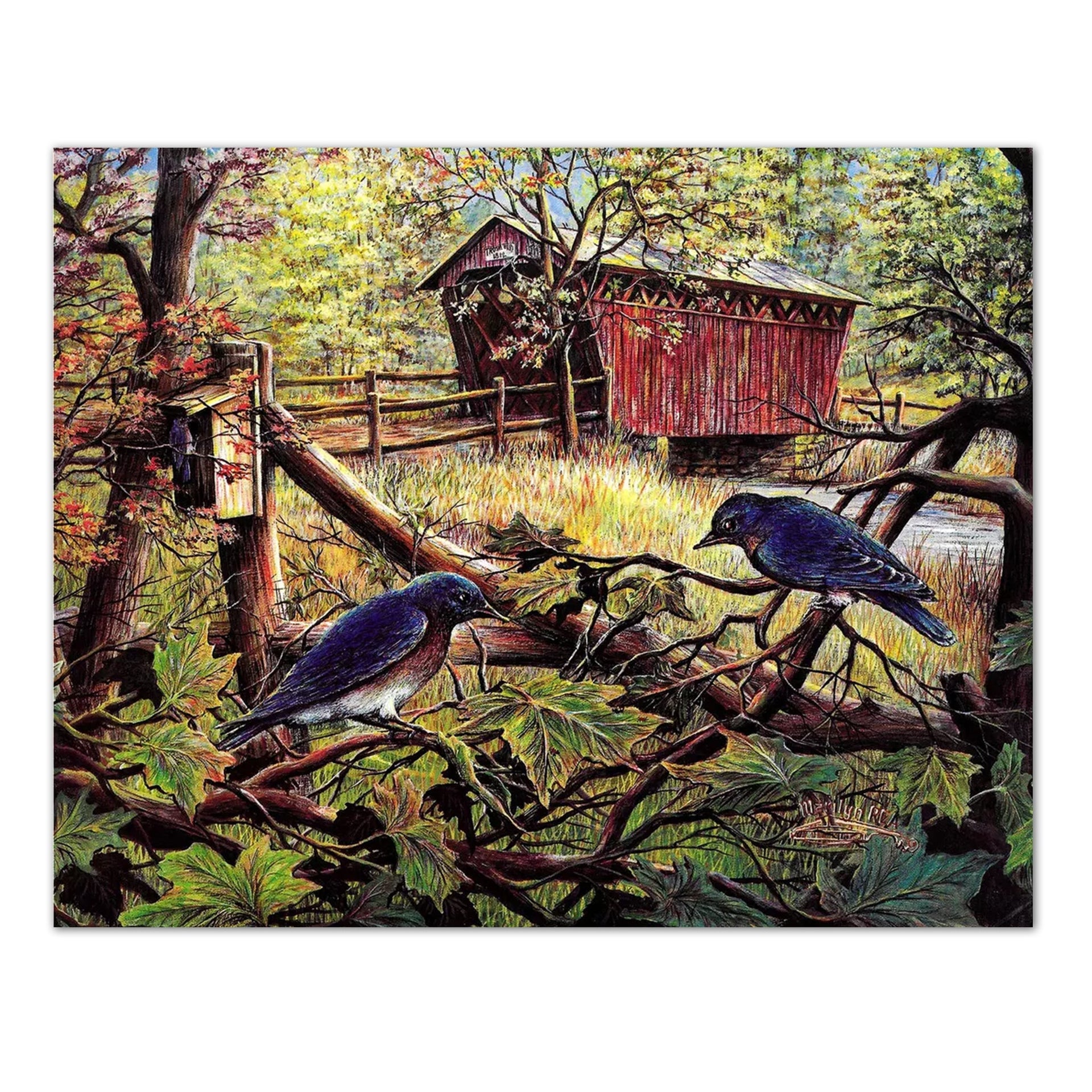 Country Bridge Art Print - Bluebird Wall Art 8x10 Vivid Lithograph Print