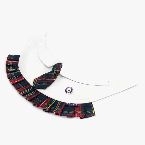 Paula | Pet Bib Momoji Canada