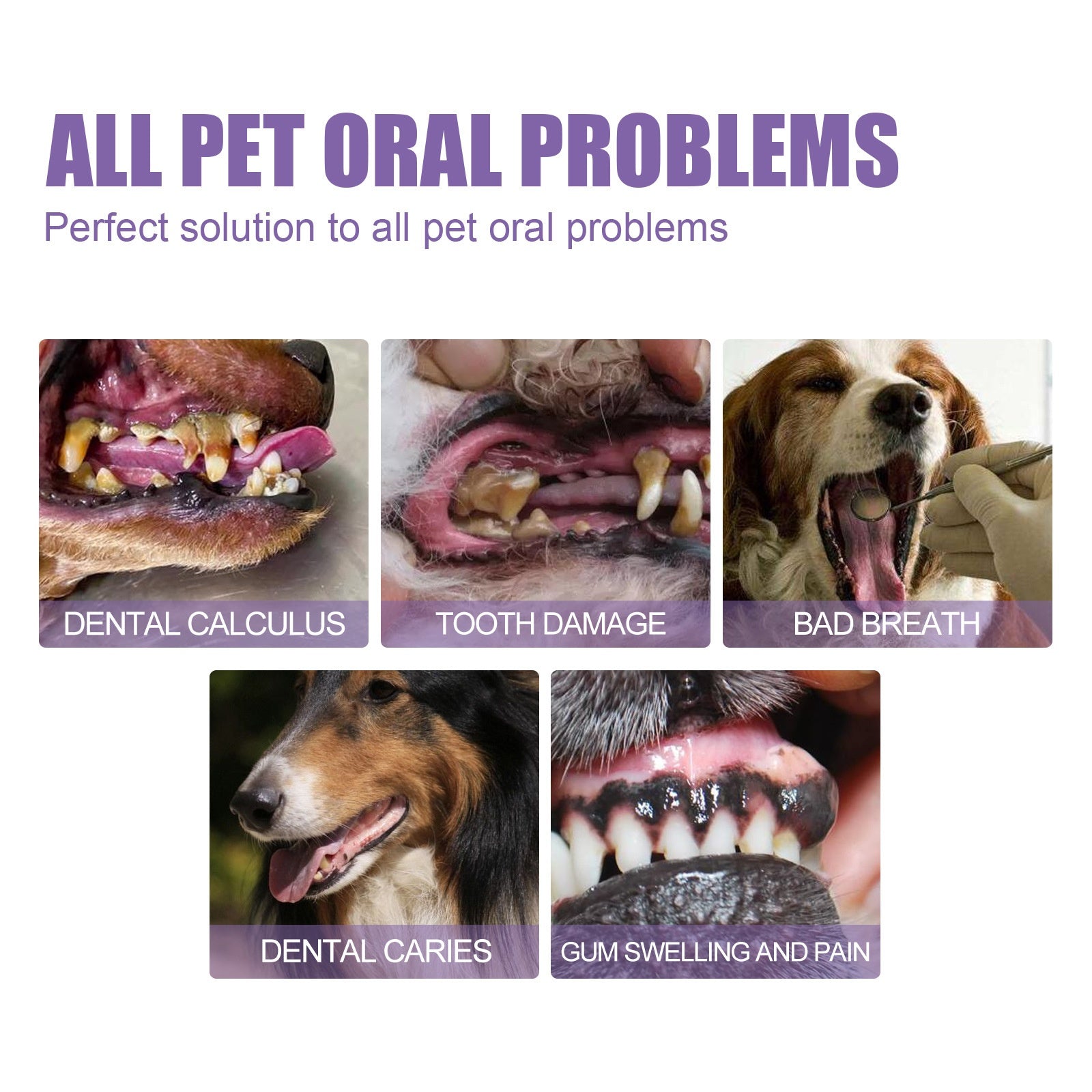 Pet Oral Care Gel for Deep Cleaning of Dog and Cat Teeth Stains and Oral Hygiene