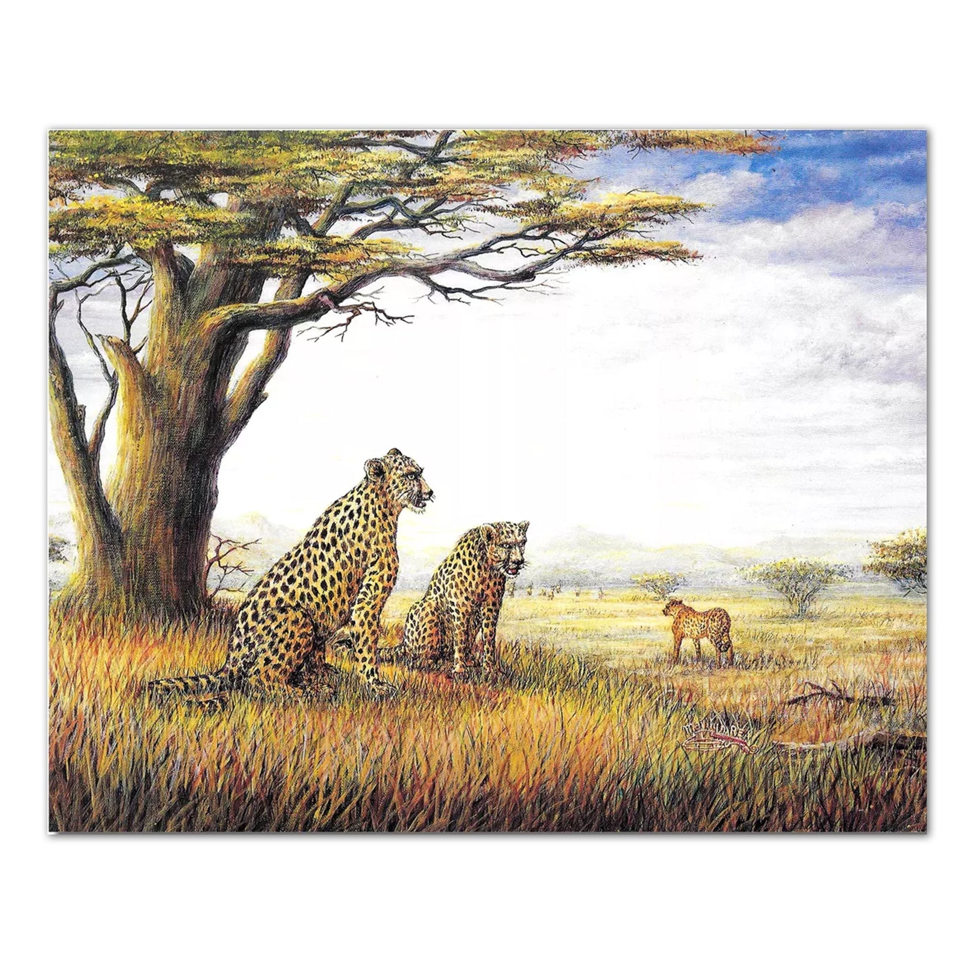 African Cheetah Art 8x10 Art Print - Detailed Lithograph Savannah Wall Picture