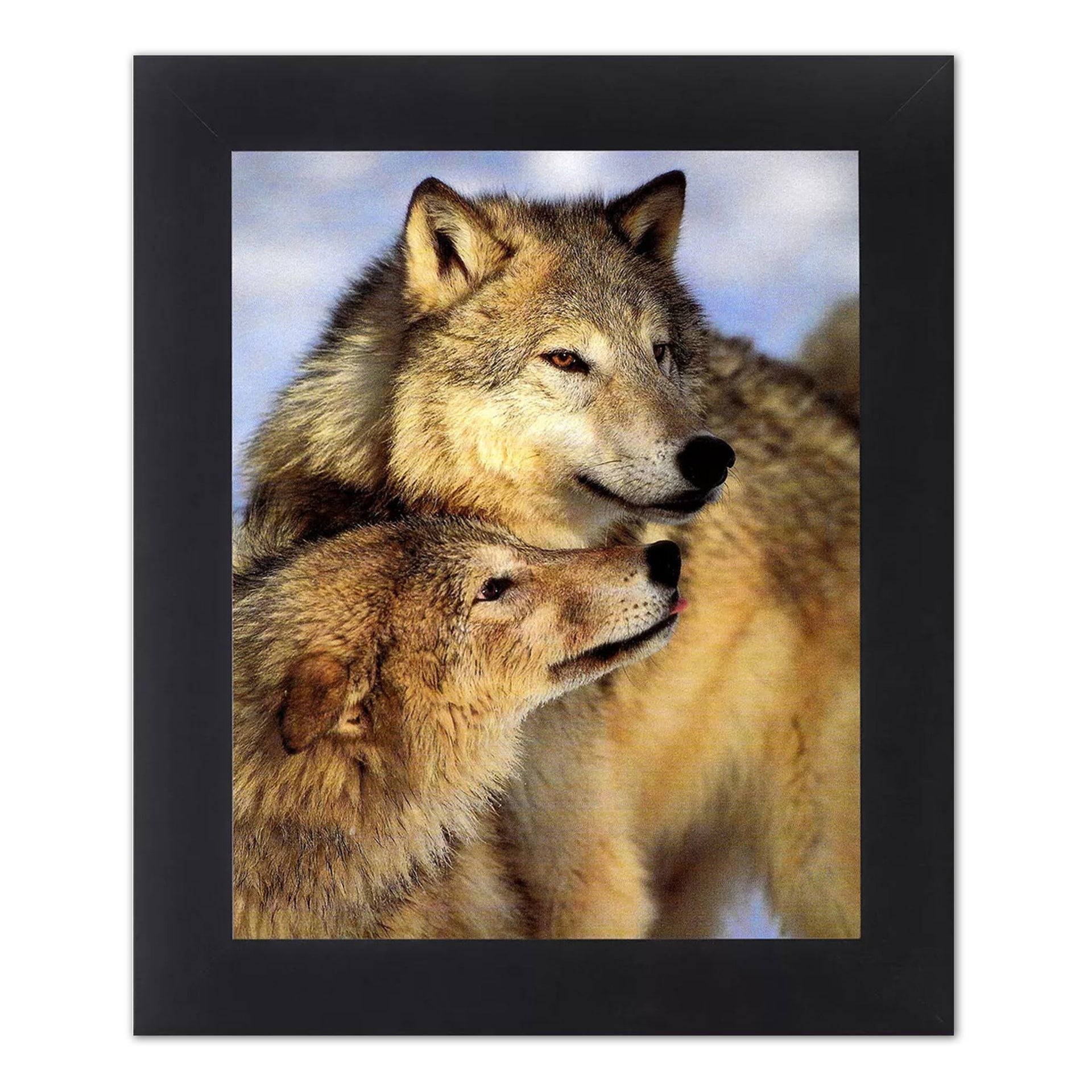 Grey Wolves Art Print – 8x10 Framed Wall Art With Black Wood Frame