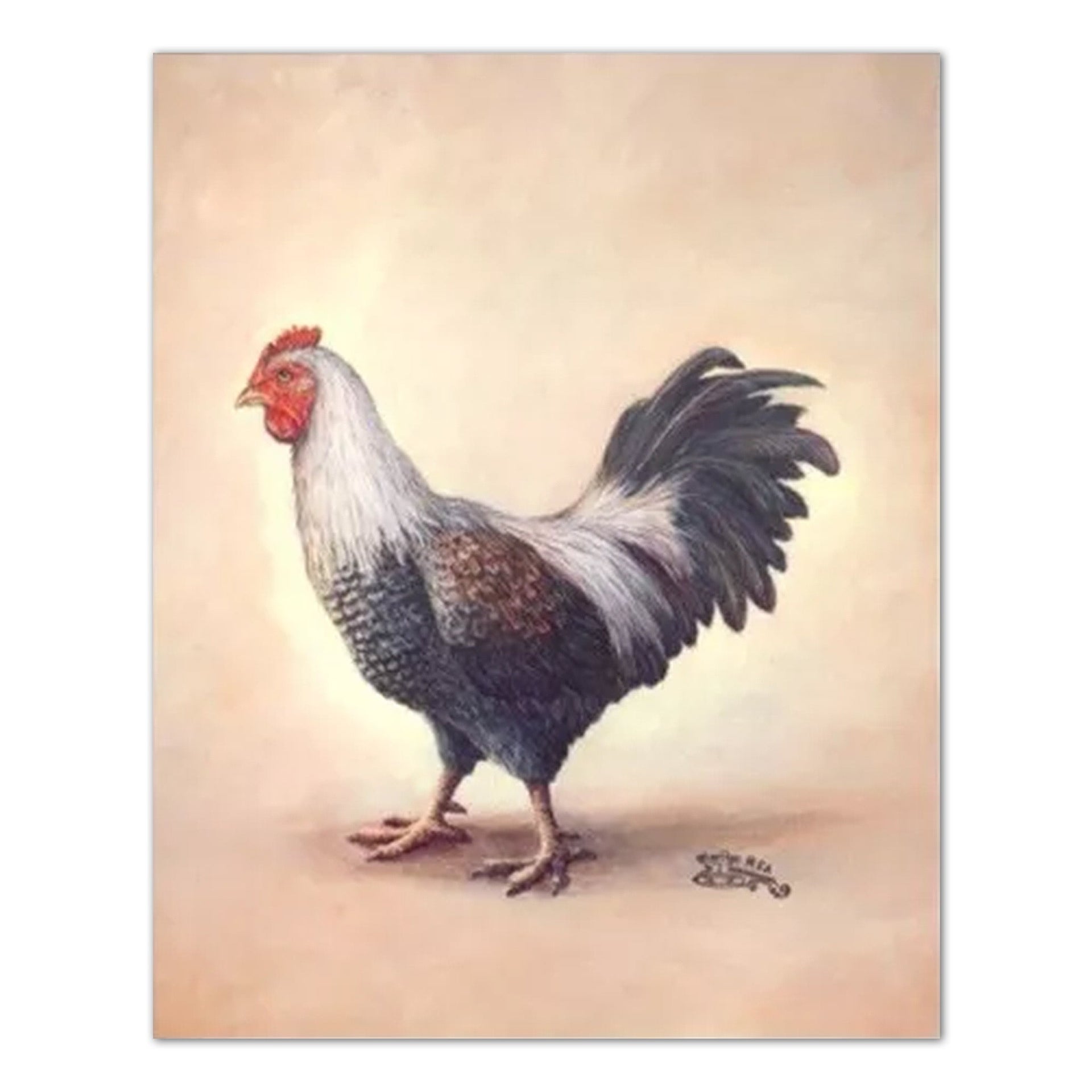 Chicken Wall Art - Rustic Farmhouse Wall Decor | 16x20 Art Print