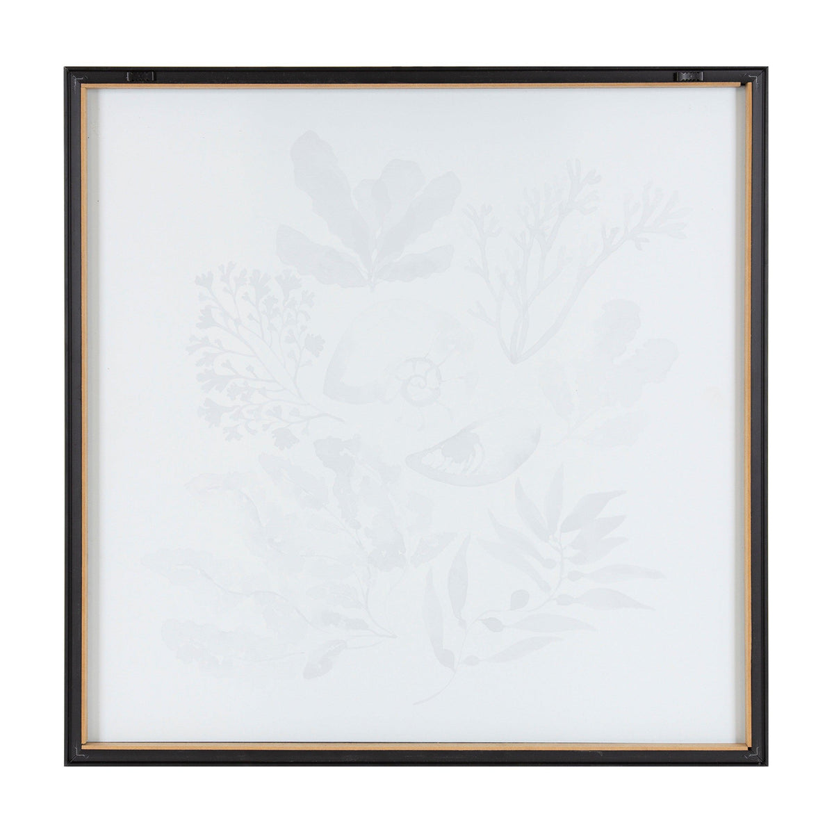 Blake Indigo Shells Framed Printed Acrylic by Sara Berrenson