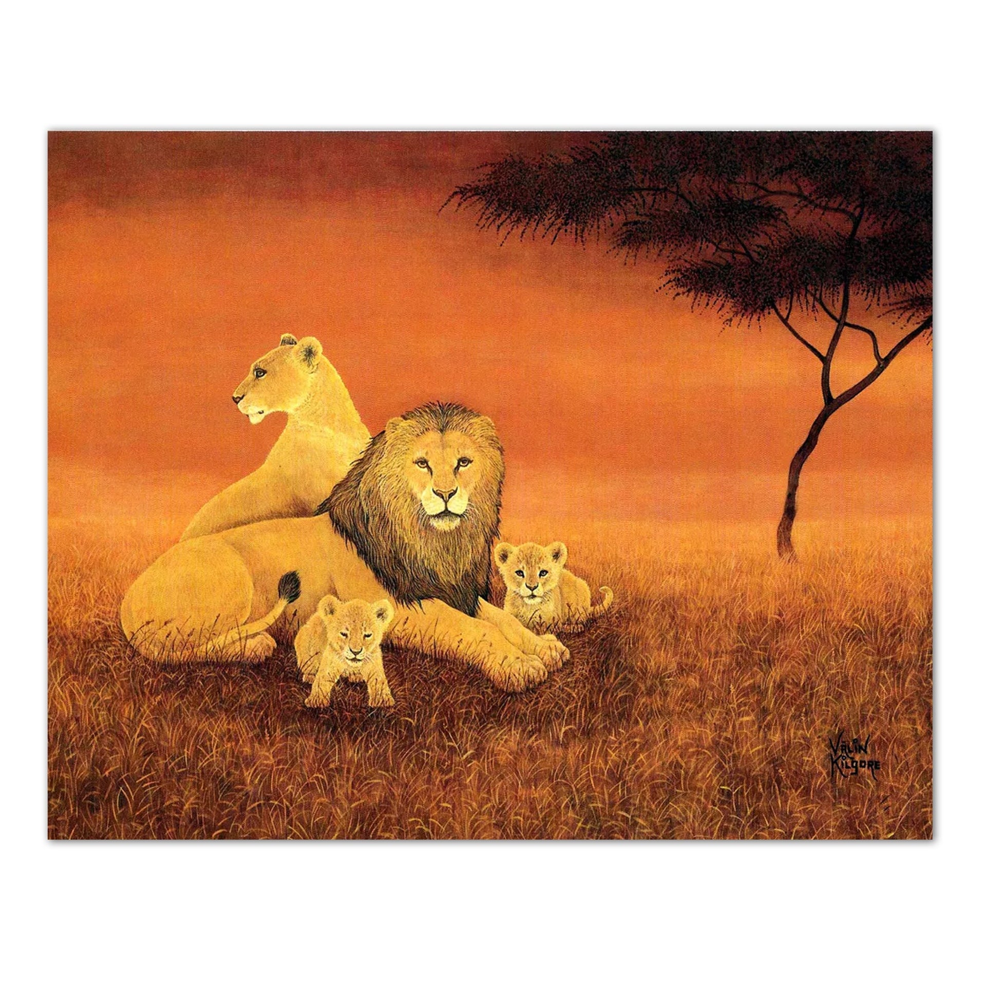 African Lion Art Print – Wildlife Wall Art 8x10 Inch Ready to Frame