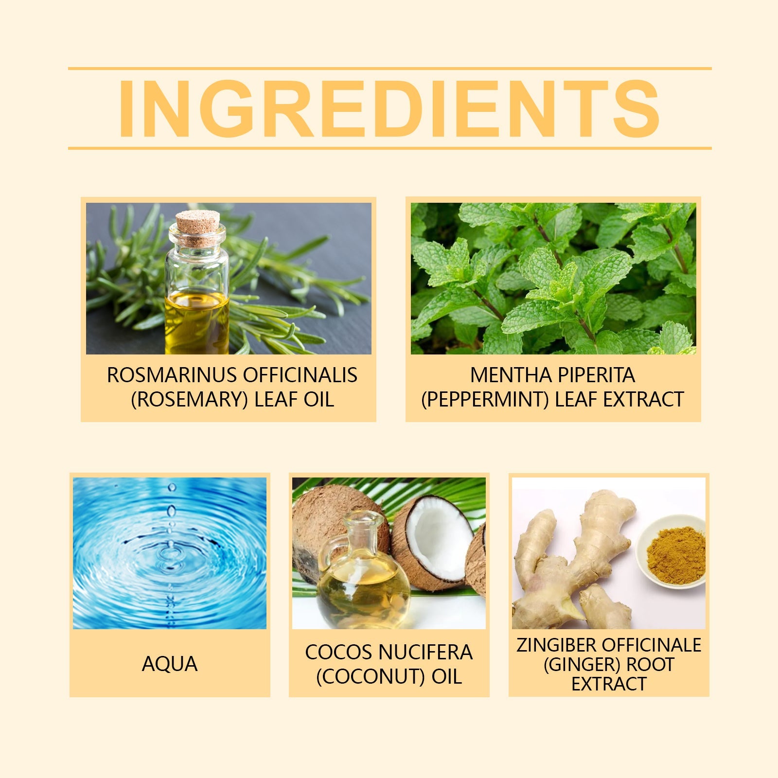 Rosemary Shampoo Cleans And Nourishes Hair Gentle, Smooth And Glossy Shampoo