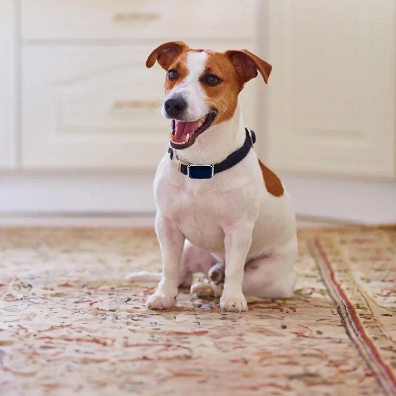 G12 Smart GPS pet tracker: Mini, waterproof, anti - loss collar for dogs & cats