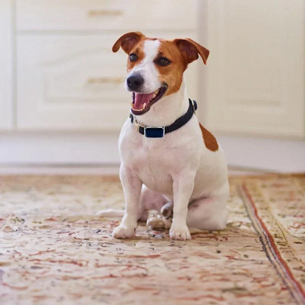 G12 Smart GPS pet tracker: Mini, waterproof, anti - loss collar for dogs & cats