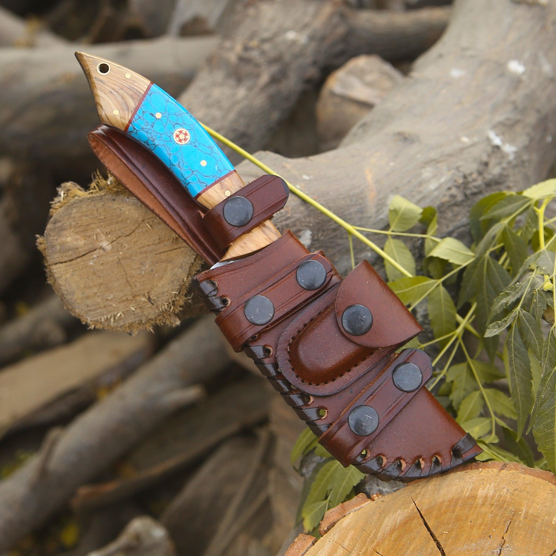 Flo Hunting Knife with Exotic Olive Wood & Turquoise Handle