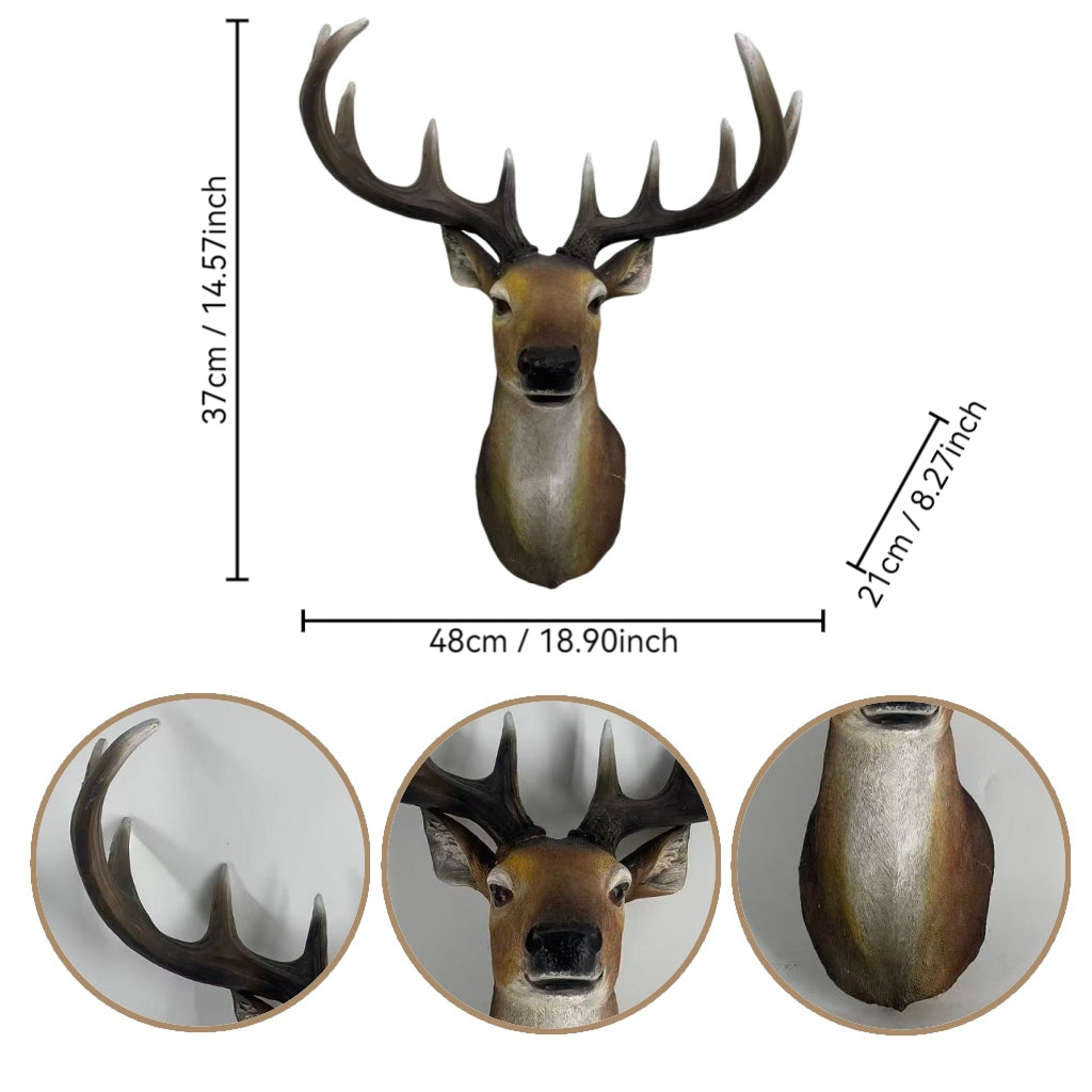 Stag Head Wall Mount - 14.57