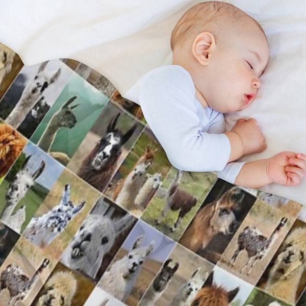 Llamas Photos Collage Shrink-resistant Throw Blanket