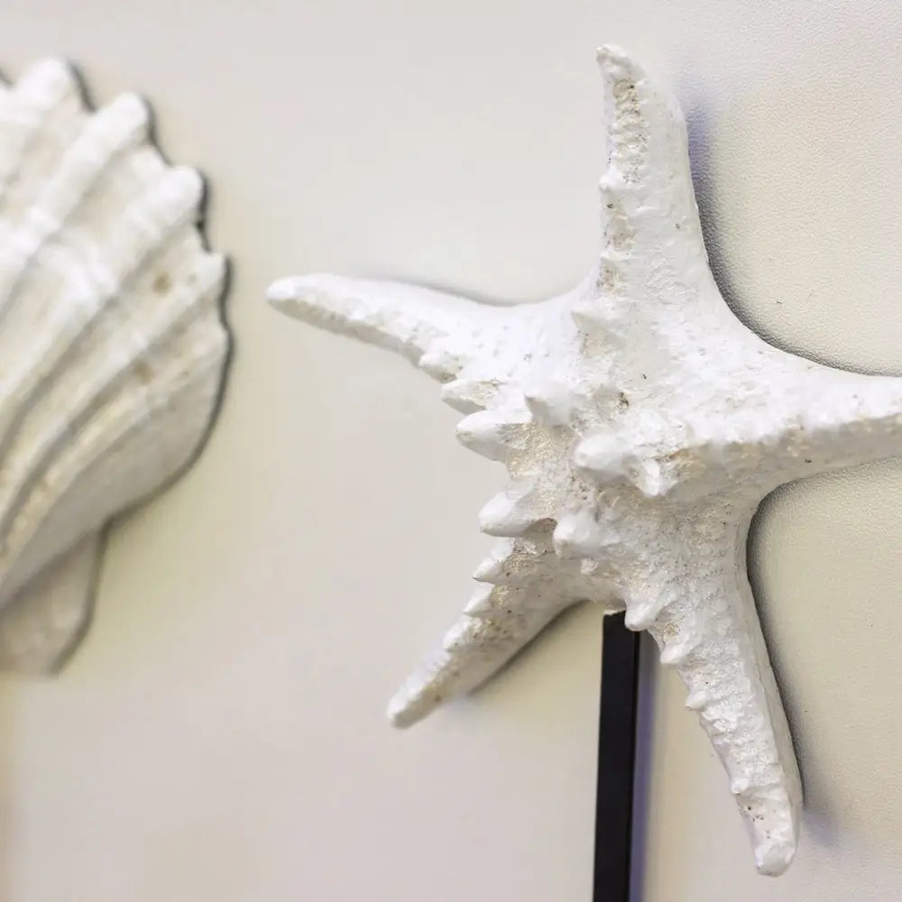 Coastal Seashell & Starfish Wall Hooks – Set of 3 VagabondVintage
