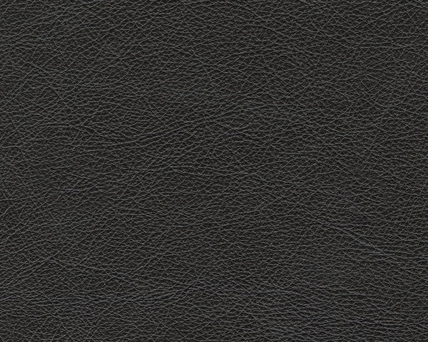 Contemporary Black Cushioned Rectangular Ottoman Finish