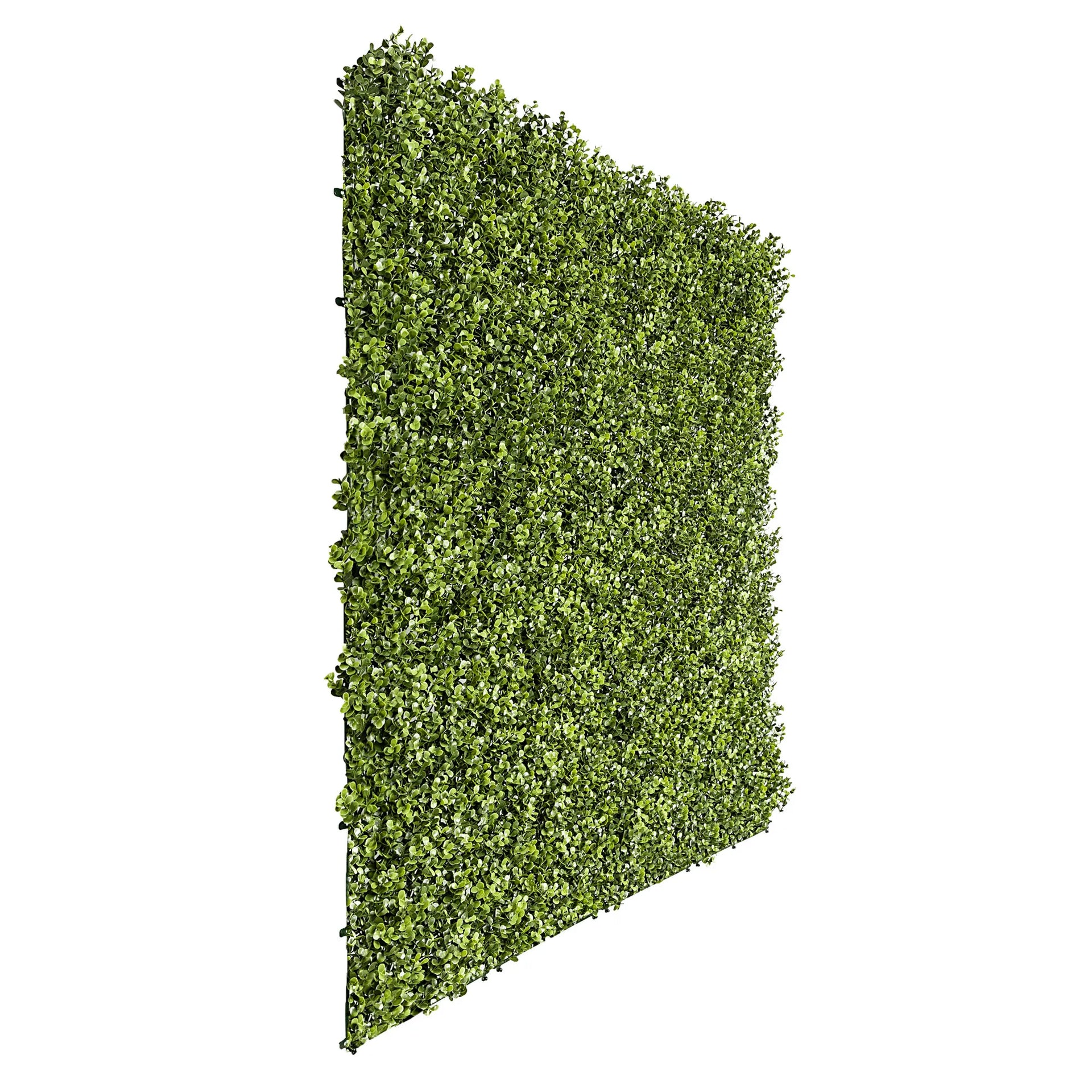 Sample Panel – Natural Boxwood Green Wall (Small Sample)