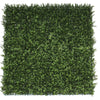 Sample Panel – Natural Boxwood Green Wall (Small Sample)