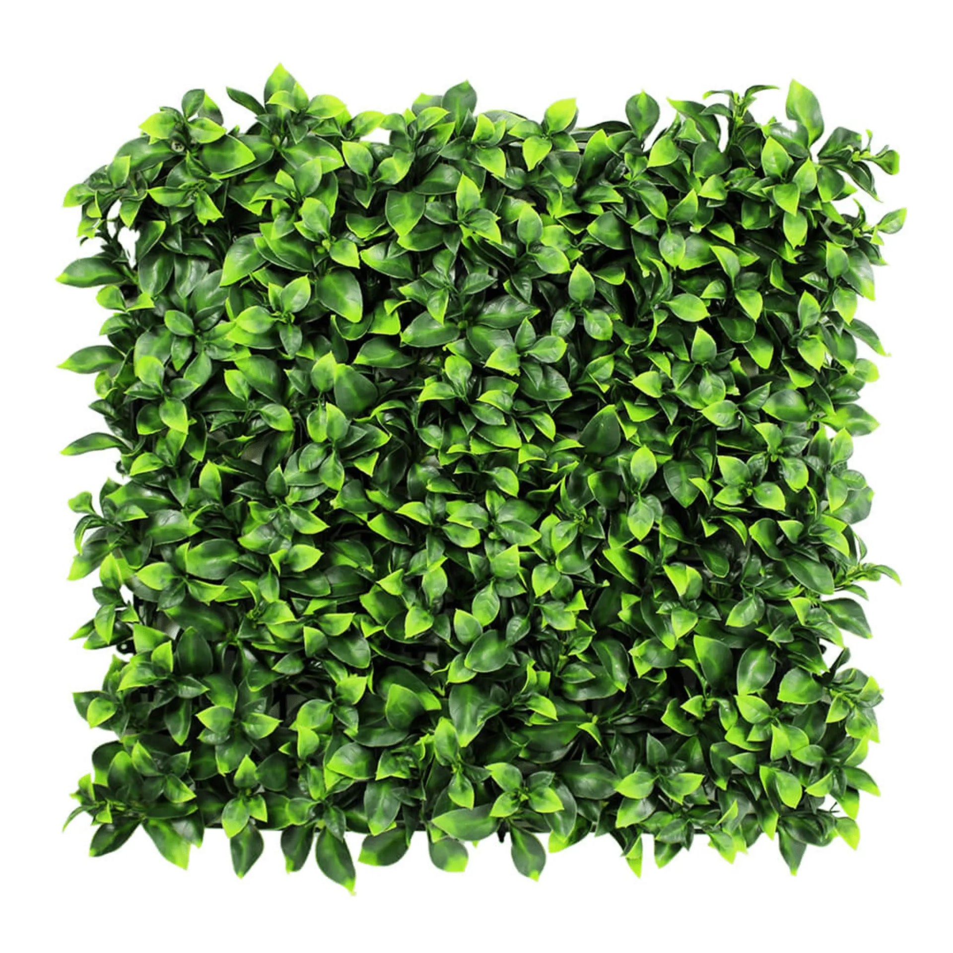 Sample Panel – Jasmine Green Wall (Small Sample)