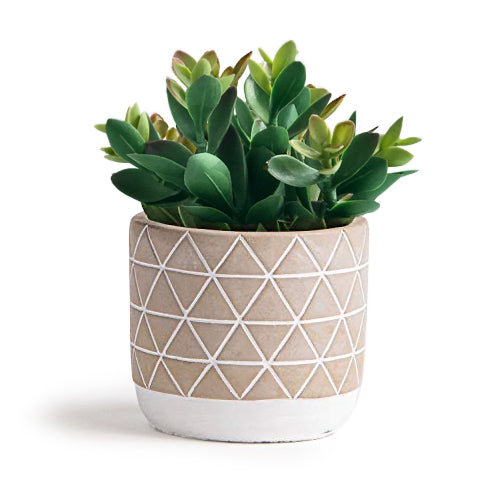 Artificial plant in diagonal patterned concrete pot  8