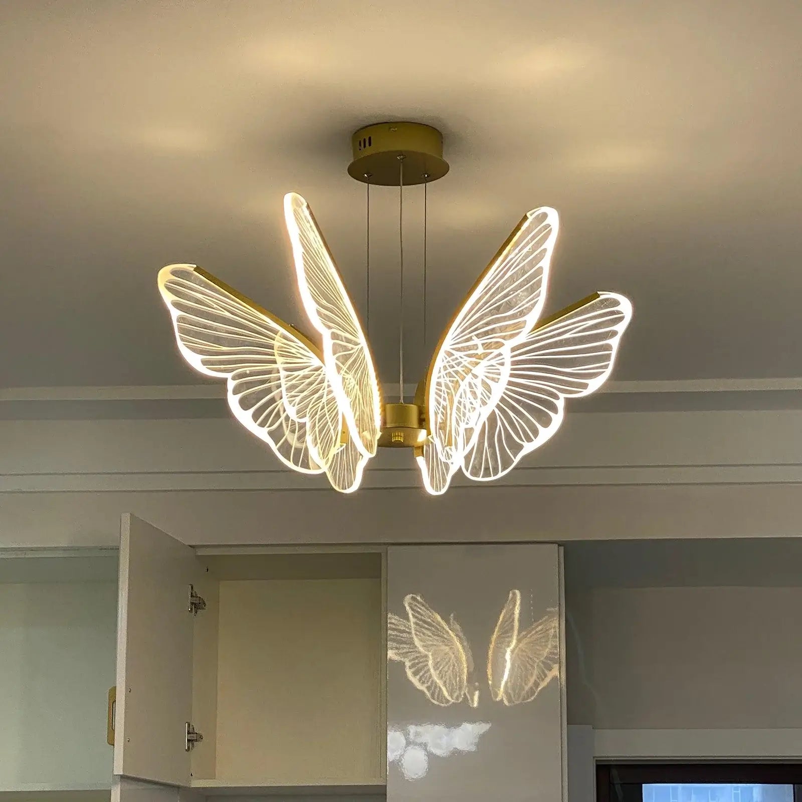 Phalaenopsis Chandelier